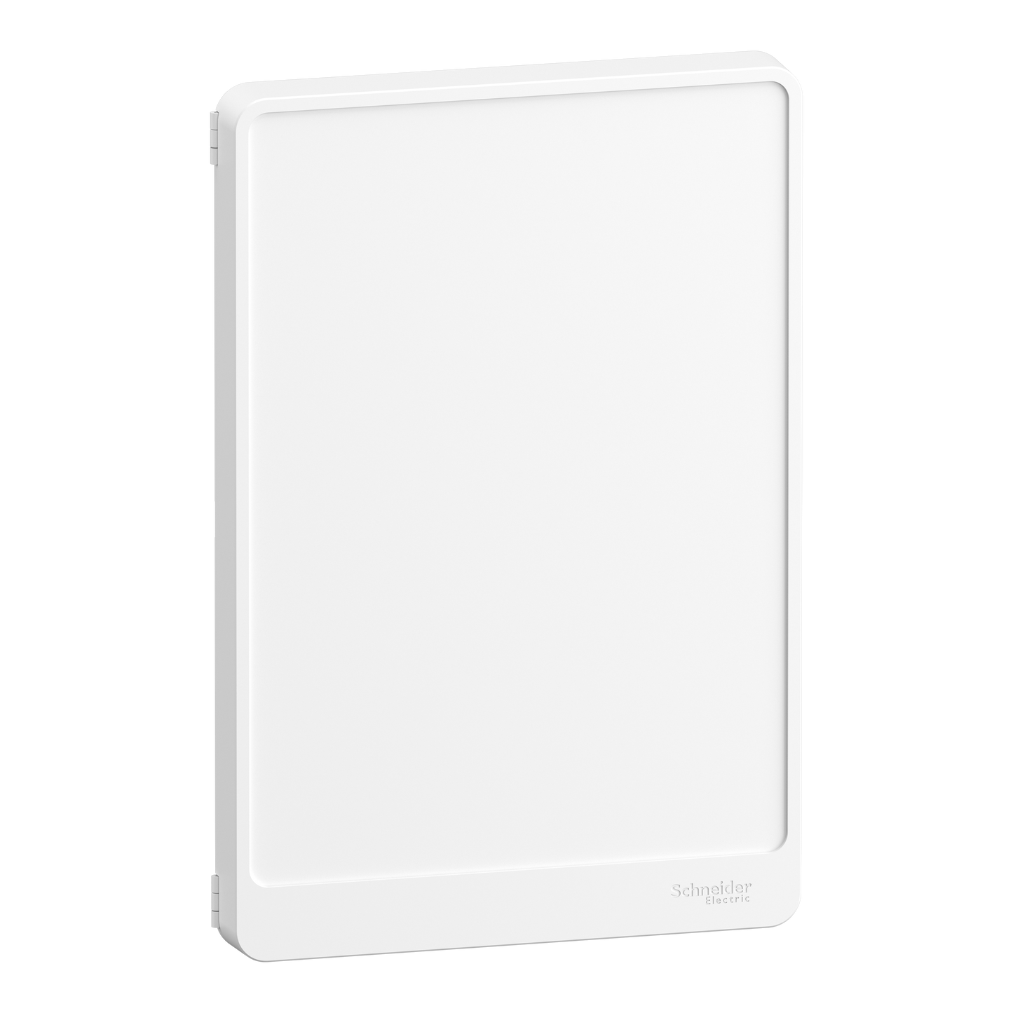Porte de tableau électrique SCHNEIDER R9H13422 2 rangées Resi9