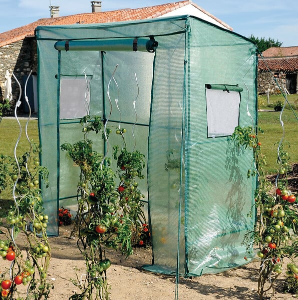 Serre tomate - Grand modèle