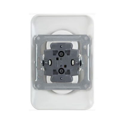 Double prise de courant 2P+T OVALIS SCHNEIDER S262089 avec terre 250V