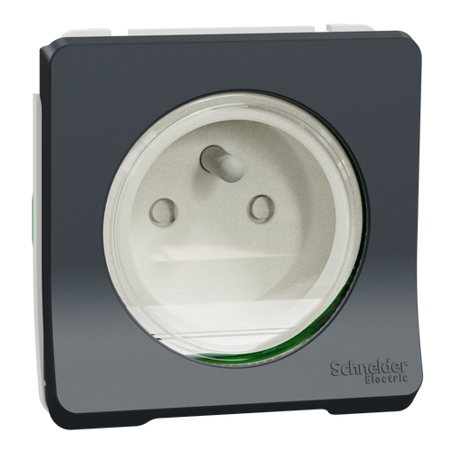 Prise terre étanche composableSCHNEIDER MUR36133 Mureva 1 poste gris