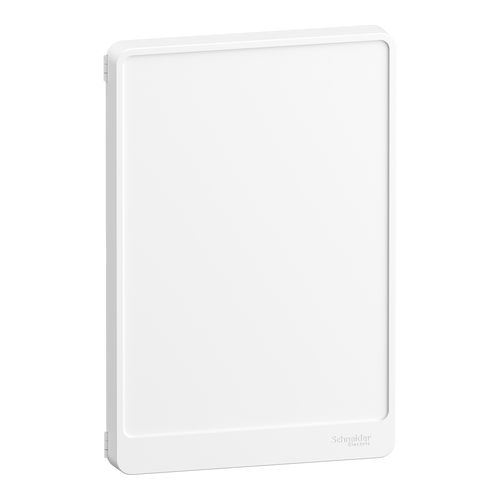Porte de tableau électrique SCHNEIDER R9H13422 2 rangées Resi9